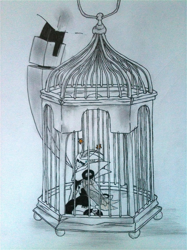 774x1032 A Bird In A Cage