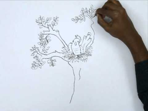 480x360 How To Draw A Bird And The Nest