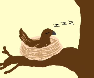 300x250 A Sleeping Brown Bird In A Nest