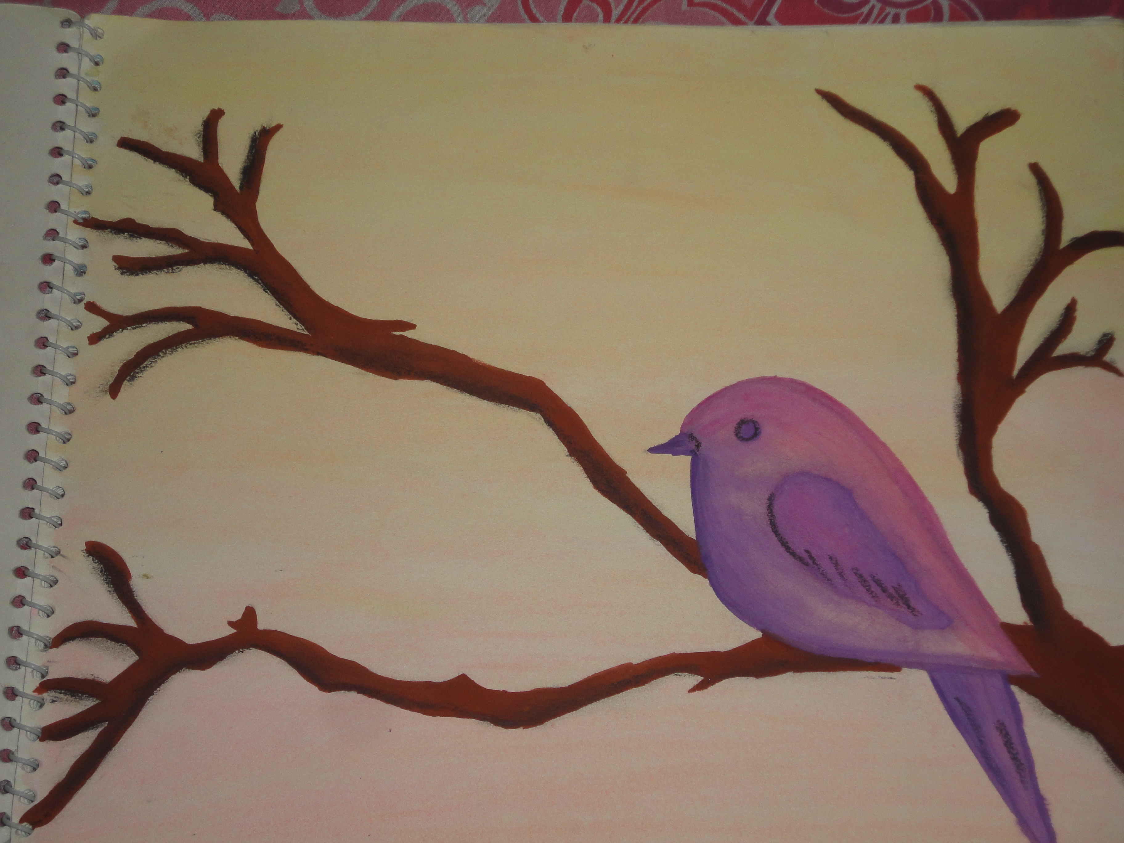 3648x2736 Bird On A Tree Absorbed In Words