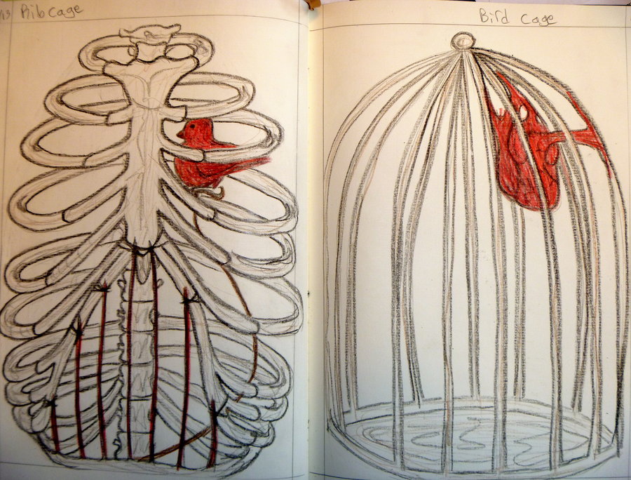 900x684 Birdcage Ribcage By Vedette9