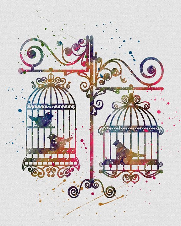 576x720 Birds In Cages 3 Bird, Illustrators And Watercolor