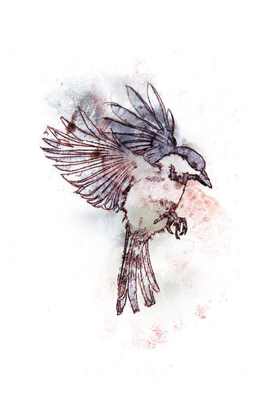 400x600 Bird1.jpg Tattoos Bird And Tattoo