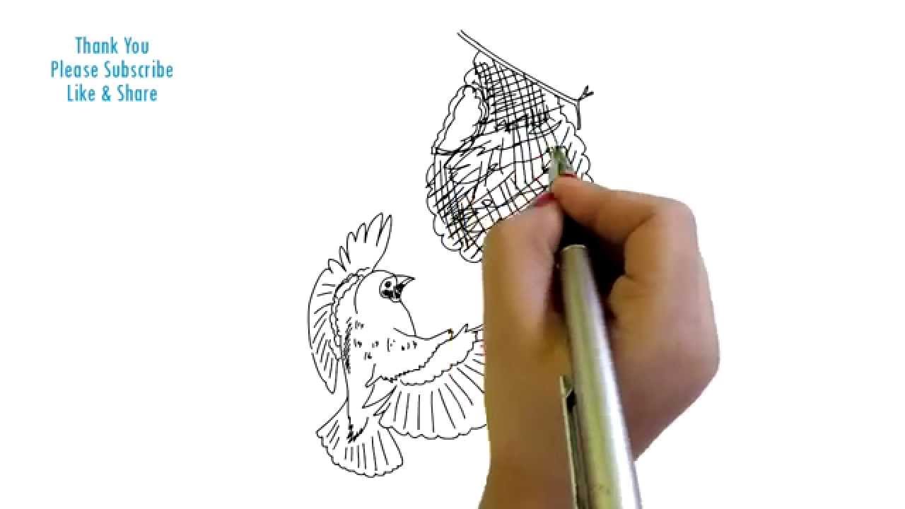 1280x720 How To Draw A Flying Bird And Nest Yzarts