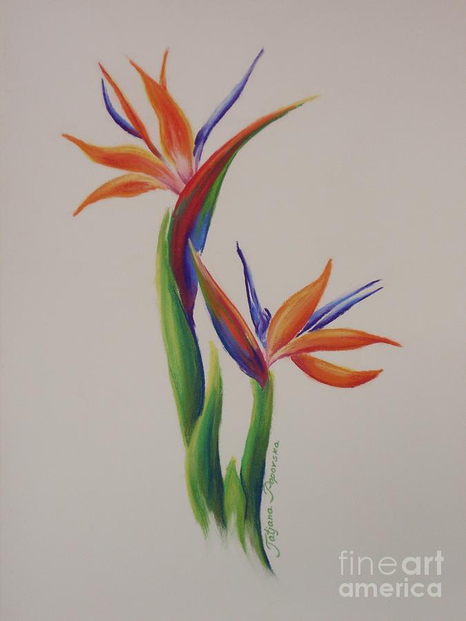 675x900 Birds Of Paradise In Love Painting By Tatjana Popovska