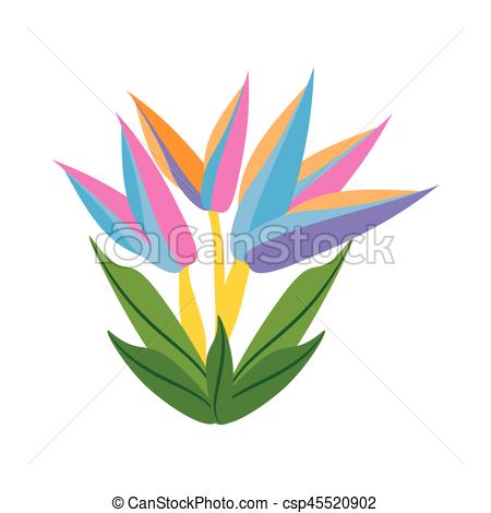 450x470 Bird Of Paradise Flower Spring Vector Illustration Eps 10 Vector