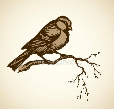 450x431 Vector Drawing. Small Titmouse On A Branch Stock Vector