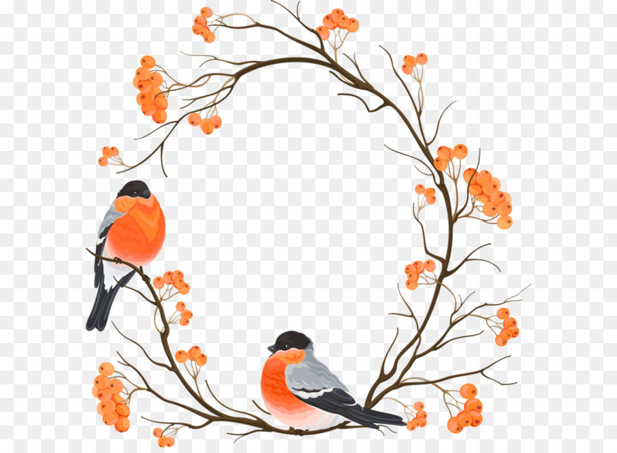900x660 Eurasian Bullfinch Drawing Embroidery Clip Art