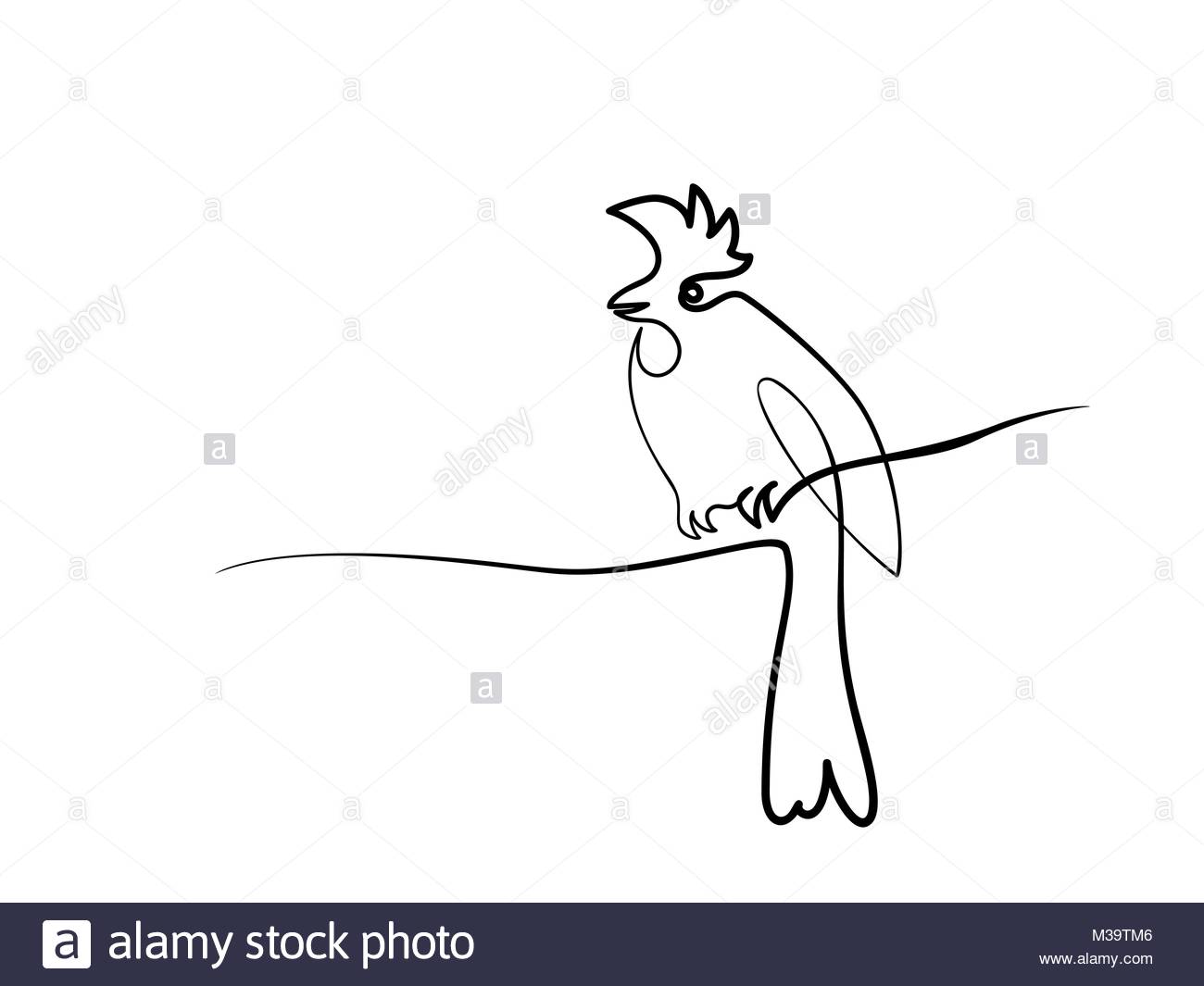 1300x1065 Tree Branch Drawing Black And White Stock Photos Amp Images