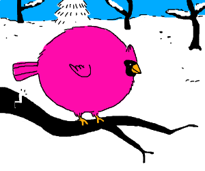 300x250 A Really Fat Bird