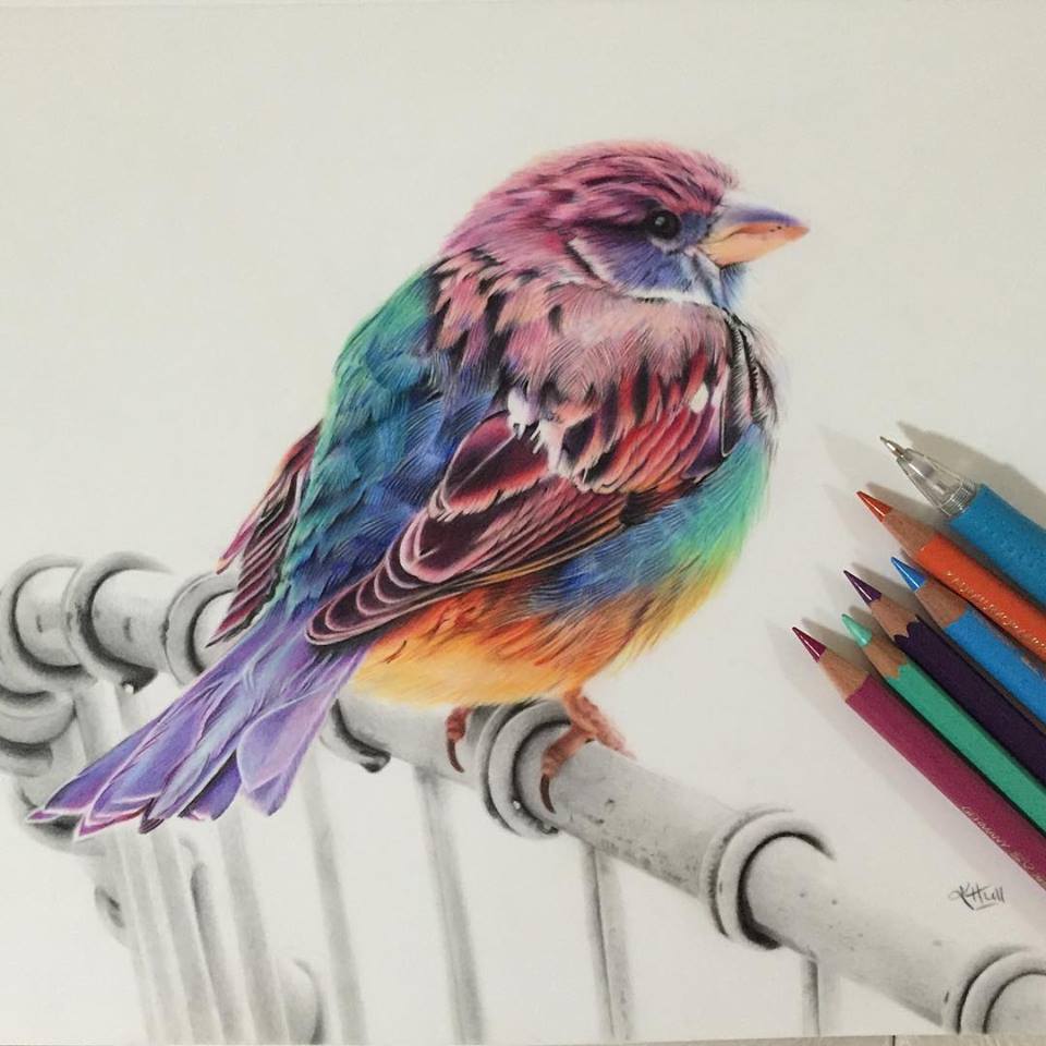 960x960 Bird Color Pencil Drawing By Karenhullart