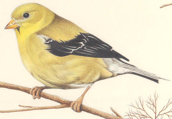 550x380 George Glazer Gallery