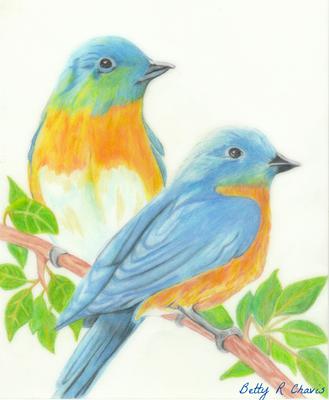 329x400 Colored Pencil Drawing Of Blue Birds