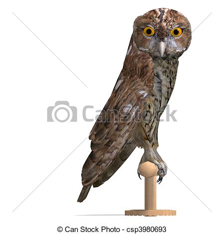 450x470 Tawny Owl Bird. 3d Rendering And Shadow Over White Drawings