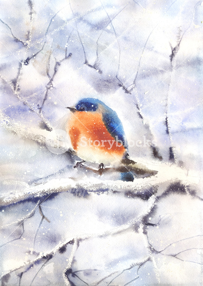 712x1000 Water Color Drawing Of A Bird Sitting On A Branch In Winter. Wet