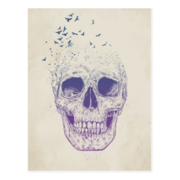 260x260 Bird Skull Drawing Gifts On Zazzle Uk