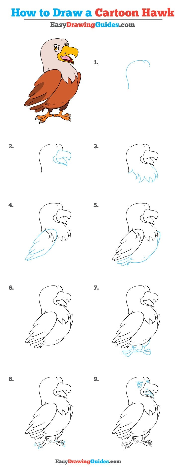 736x1893 How To Draw A Cartoon Hawk Really Easy Drawing Tutorial