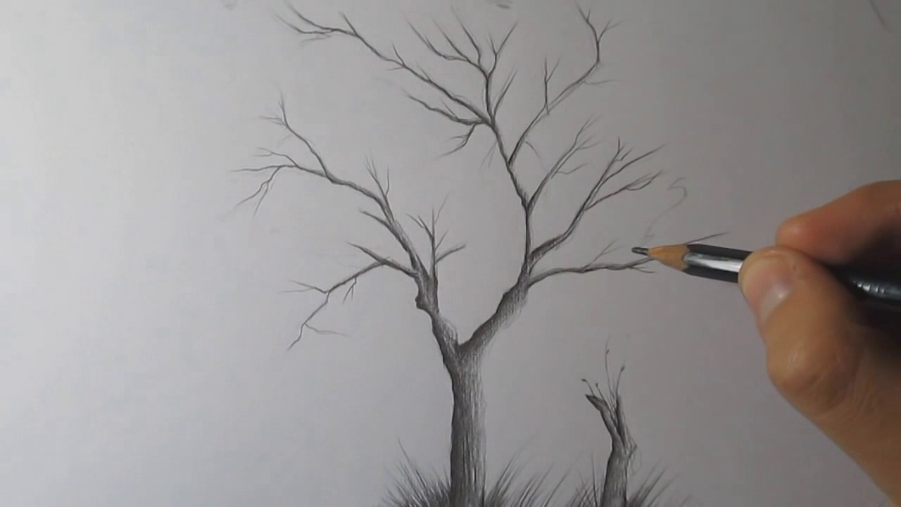 1280x720 How To Draw A Tree And Birds With Pencil Step By Step