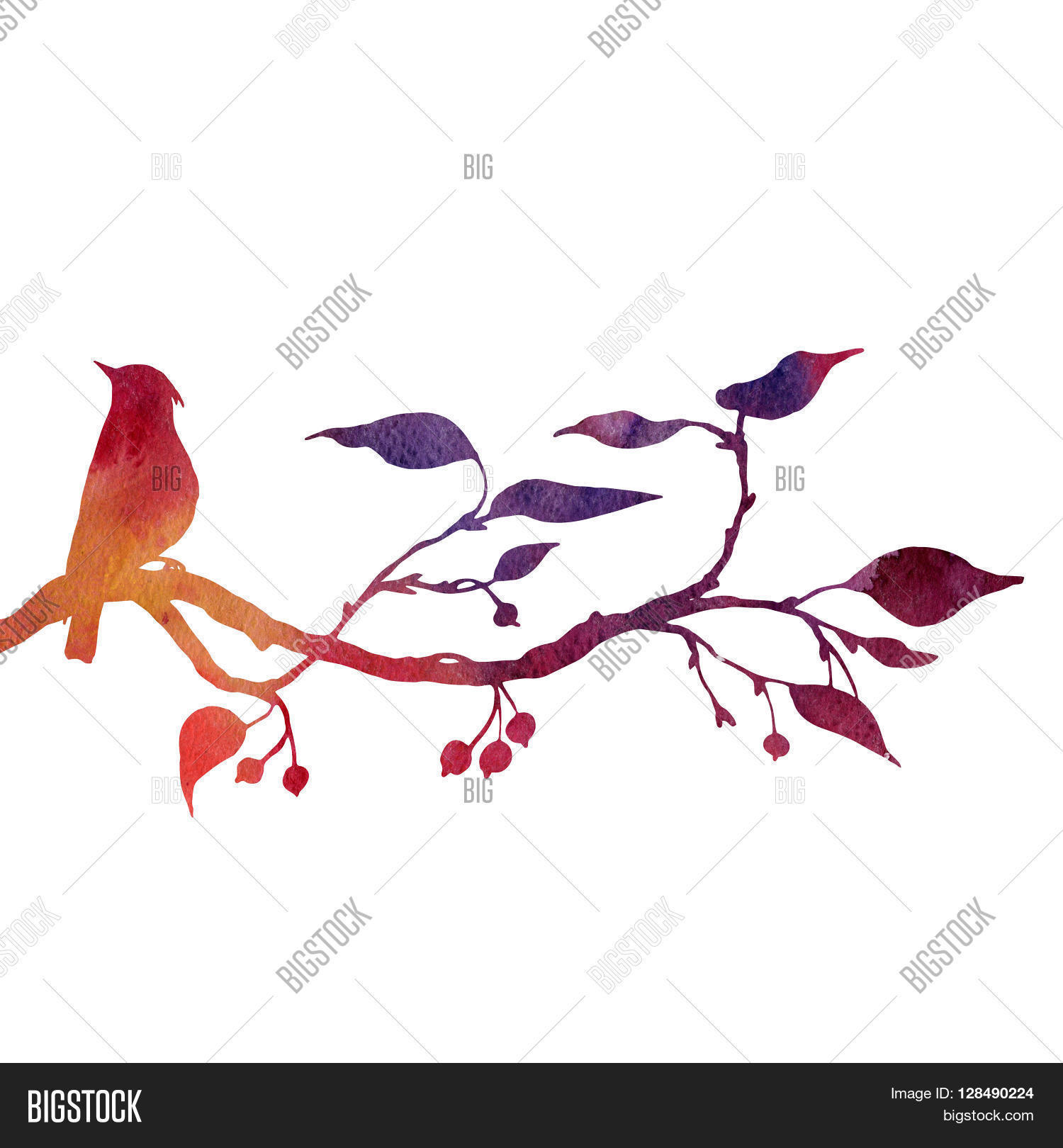 1500x1620 Silhouette Bird Tree Drawing Image Amp Photo Bigstock