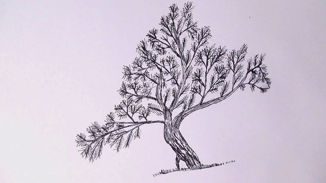 1280x720 Tree Bird Drawing With Pen Easy And Simple