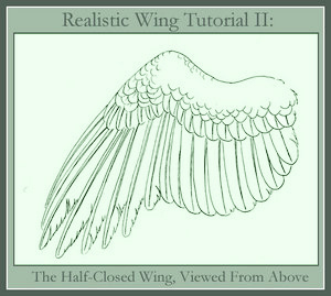 300x269 Realistic Wing Tutorial Ii By Windfalcon