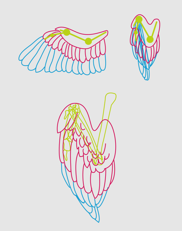 600x759 Taking Flight A Beginner's Guide Into Drawing Wings