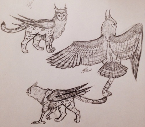 500x437 How To Draw Bird Wings Tumblr