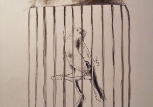 300x210 Bird In Cage Drawing Bird Cages Drawings Vintage Bird Cage Drawing