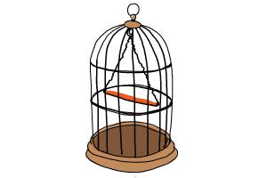 300x200 How To Draw A Bird Cage