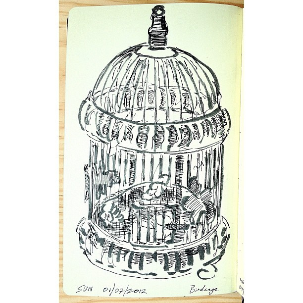 612x612 Sun 1 July's Sketch Of The Day Being A Decorative