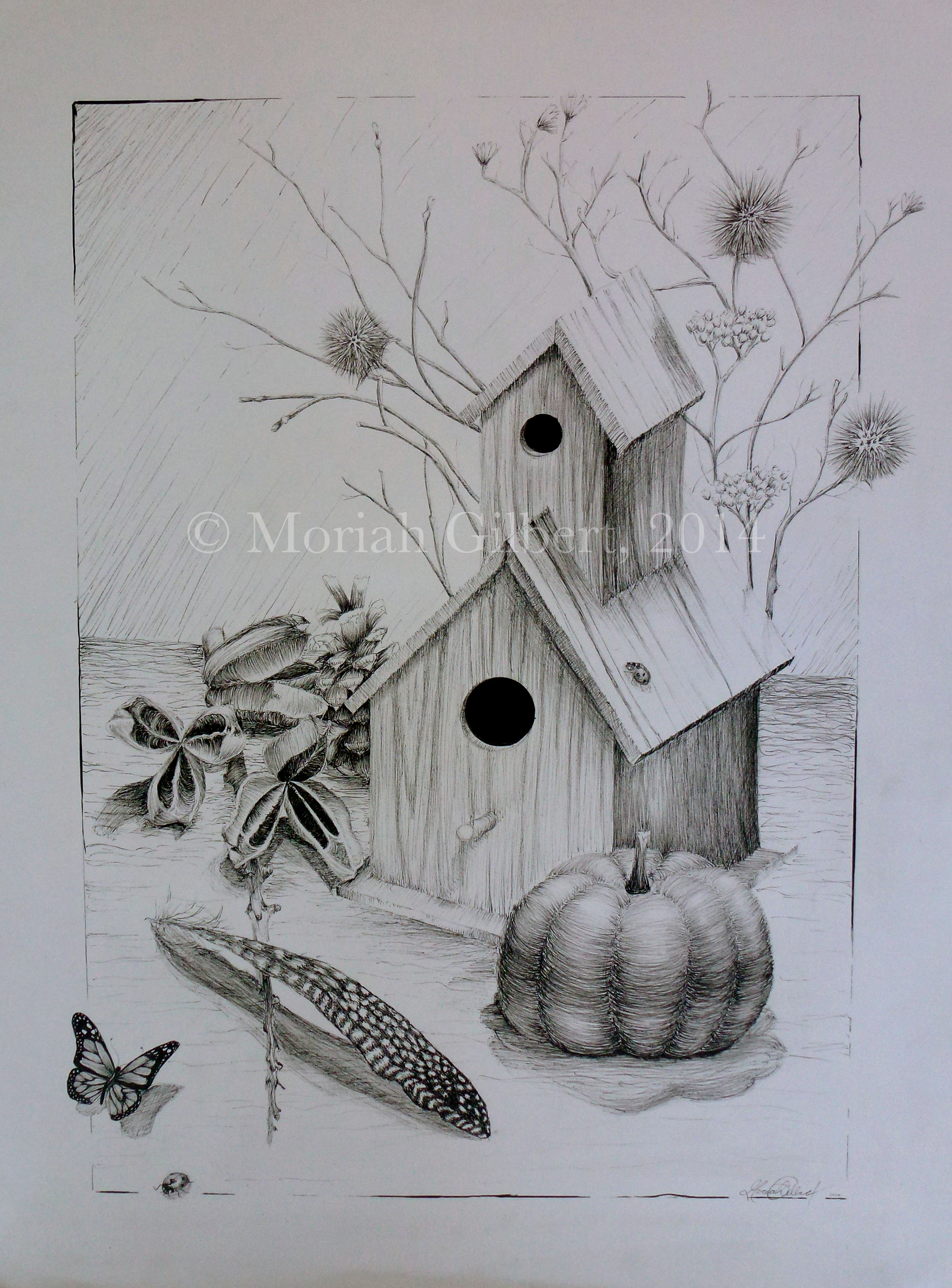 2775x3753 Birdhouse ~ Pen Amp Ink Moriah Faith