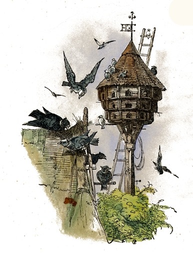 386x505 Birdhouse Drawing