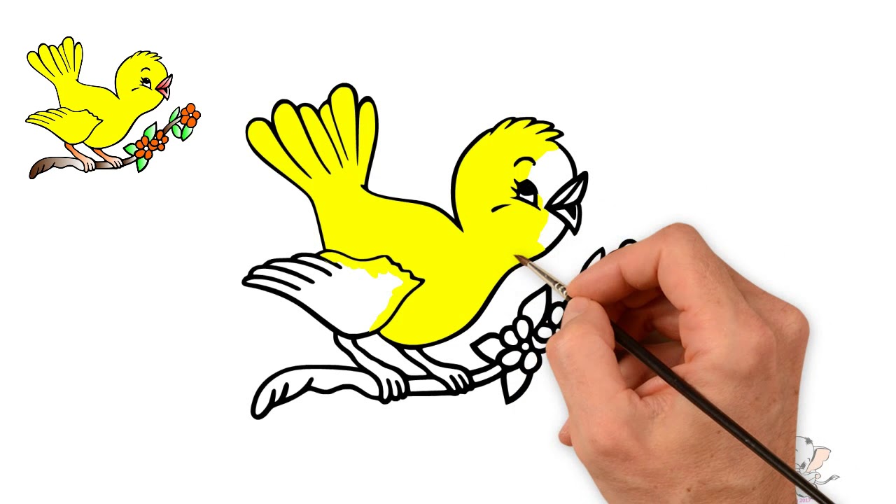 1280x720 How To Draw Cute Bird Learn Drawing Bird Drawing Bird Step By