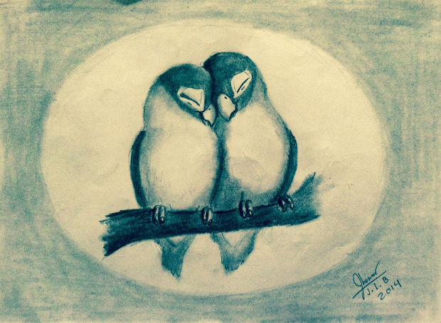 620x455 Bird Drawings, Art Ideas Design Trends