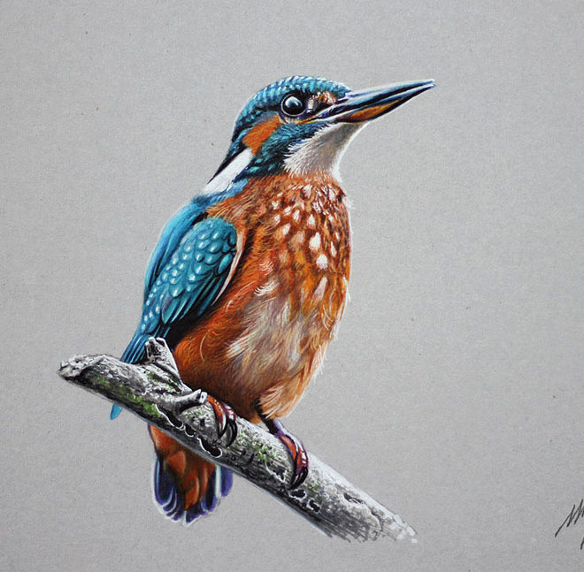 660x647 25 Beautiful Bird Drawings And Artworks From Around The World