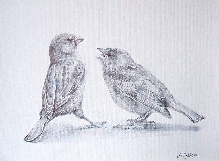 770x565 Saatchi Art Birds Drawing By Liman Gjakova
