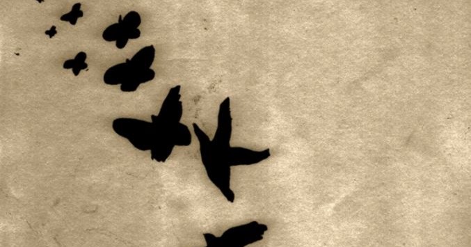 677x355 Bird Drawing Tumblr Flying Amazing Wallpapers