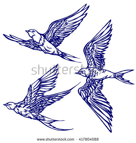 450x470 Photos Flying Bird Sketch,