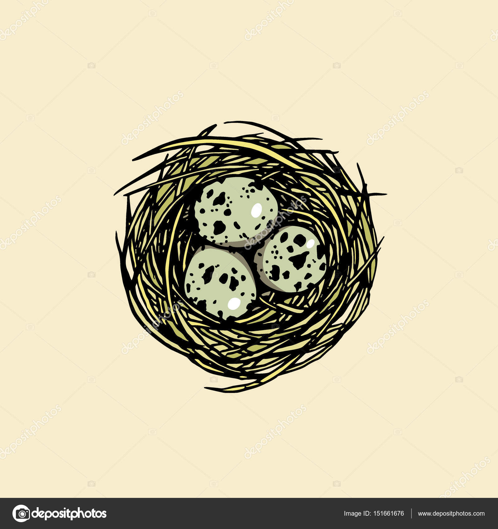 1600x1700 Hand Drawn Bird Nest Stock Vector Ezhevica