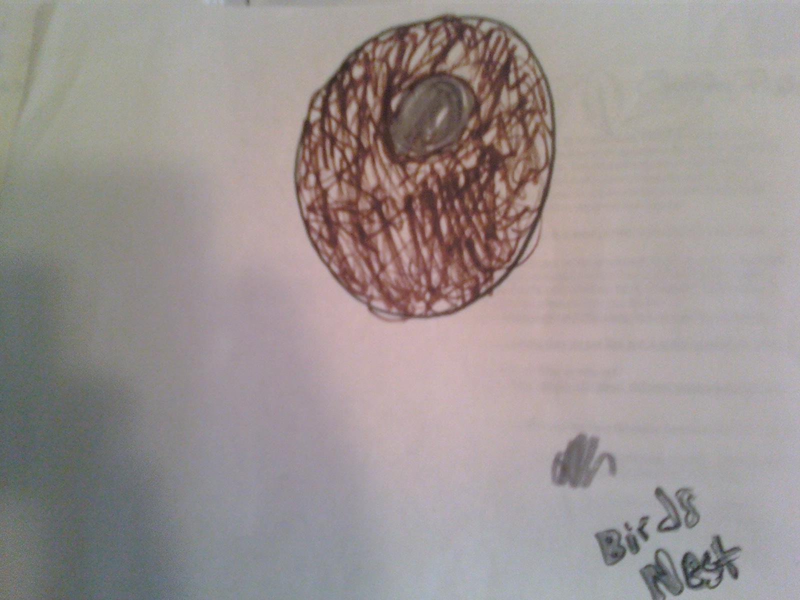 1600x1200 Not Your Typical) Bird Nest Drawing Reflections From One Of 6