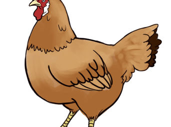 342x254 Drawing Birds