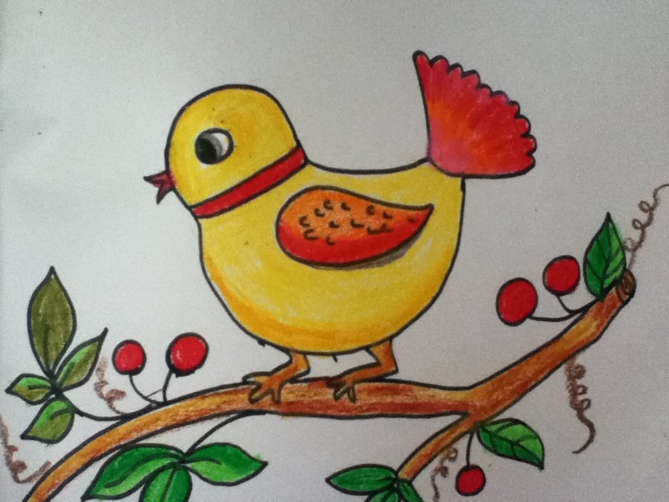 960x720 Bird Drawing For Kids