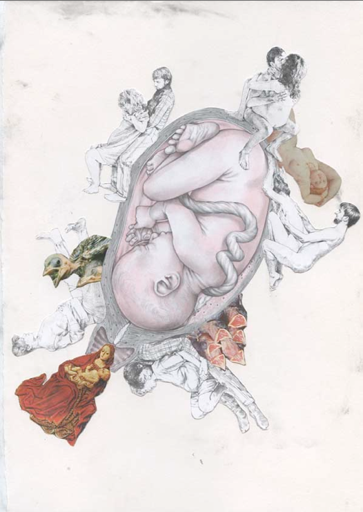 526x741 Drawing From Birth Whitworth Adult Programme