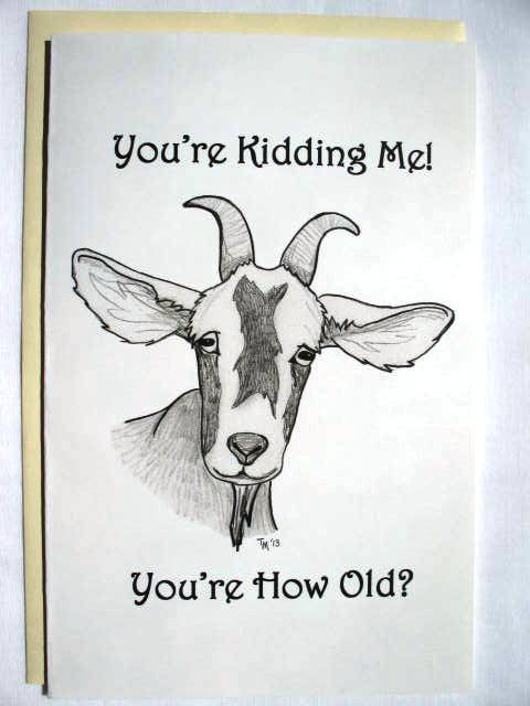 480x640 Funny Goat Birthday Card Original Pencil Drawing