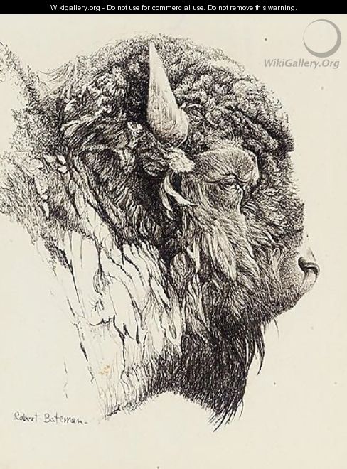 488x660 Bison Head