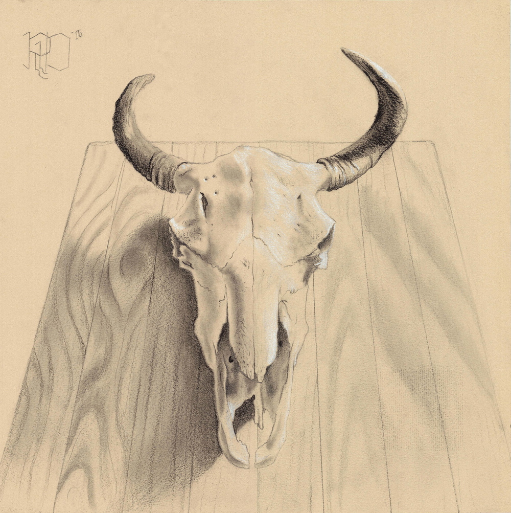 1000x1003 Drawing Rebecca Lynn Dash