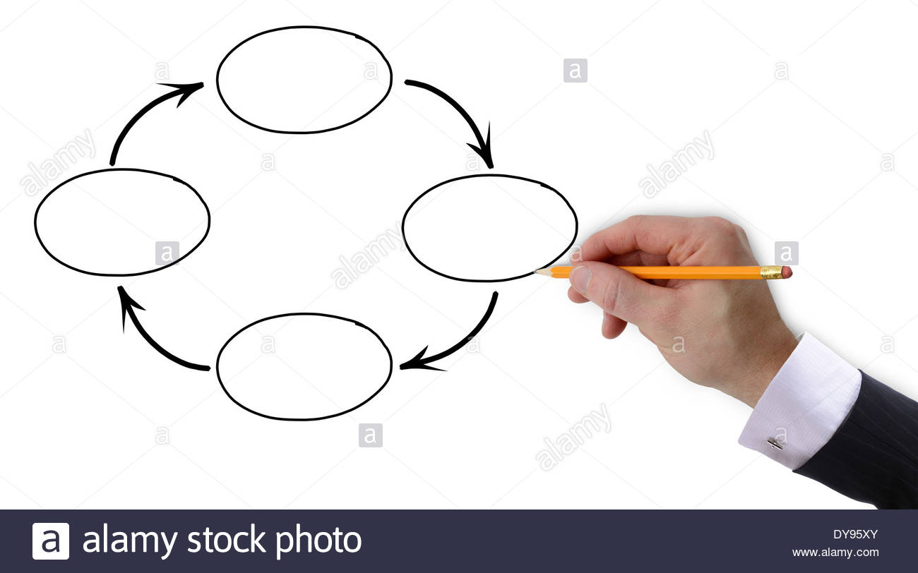 1300x812 Businessman's Hand Drawing Out A Presentation Of Blank Cycle Stock