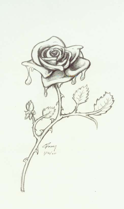 488x820 Bleeding Rose By 7dragondame7