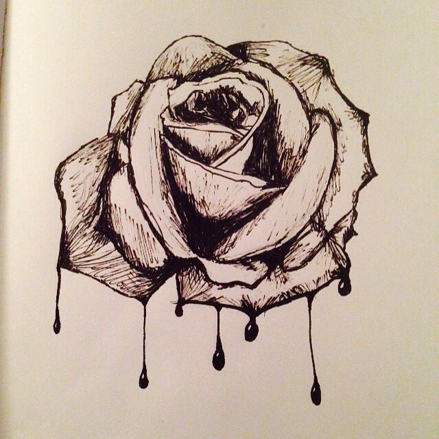 640x640 Bleeding Rose By Blackrabbitdrawings