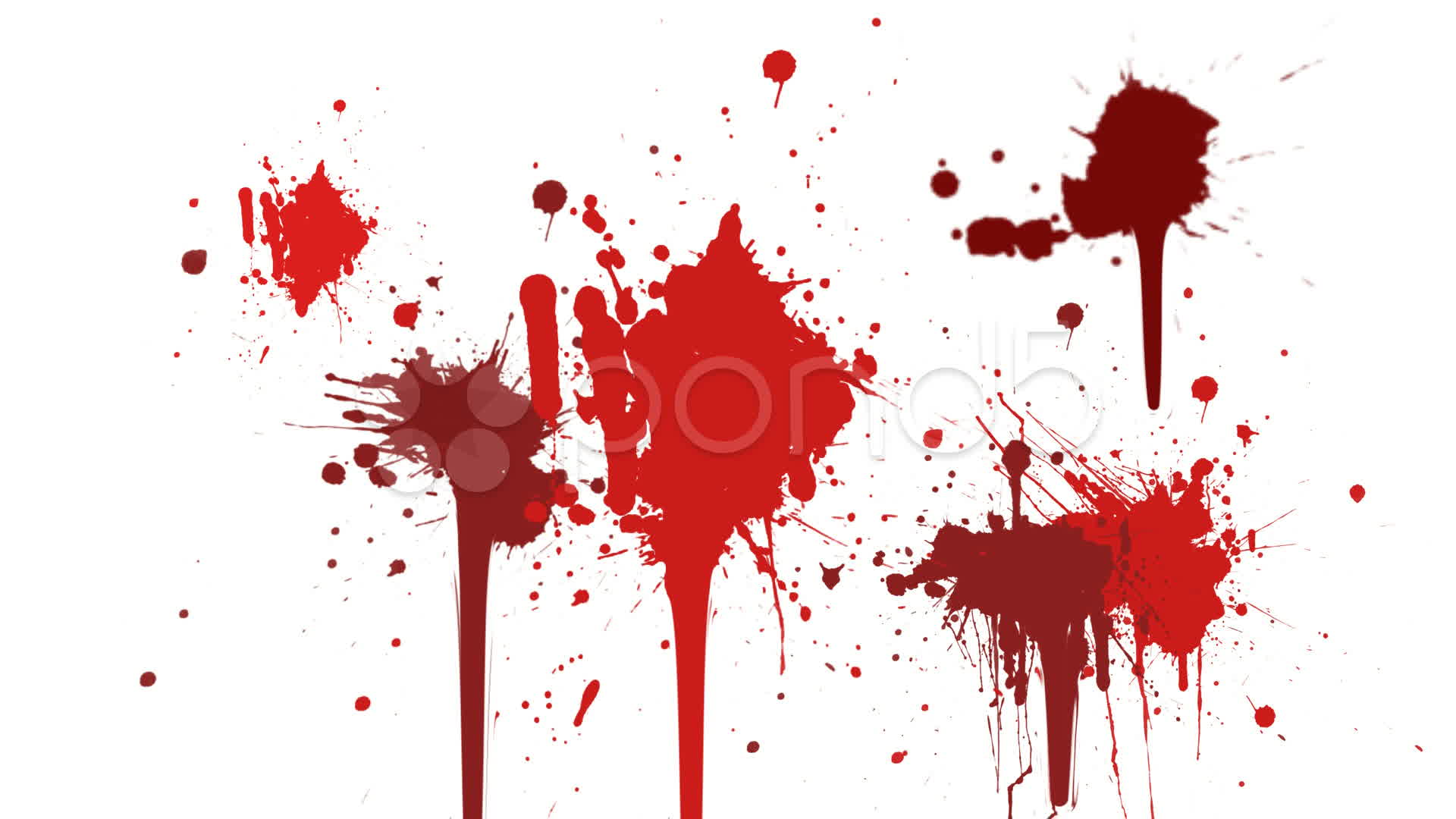 1920x1080 Blood Splatter ~ High Resolution ~ Hi Res Video